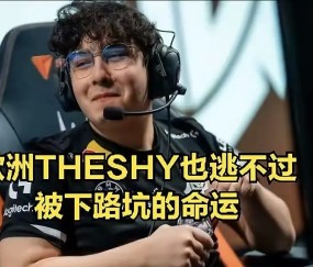 AYX-TheShy在G2比赛中惊险取胜，连败引发热议！的简单介绍