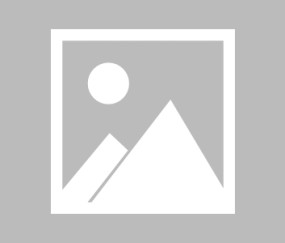 爱游戏体育-包含赛地聚焦——NBA常规赛今晚热度飙升，孟菲斯灰熊手感冰凉，赛场秩序良好，年轻球员获得机会的词条